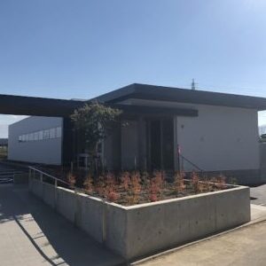 むらかみ整形外科