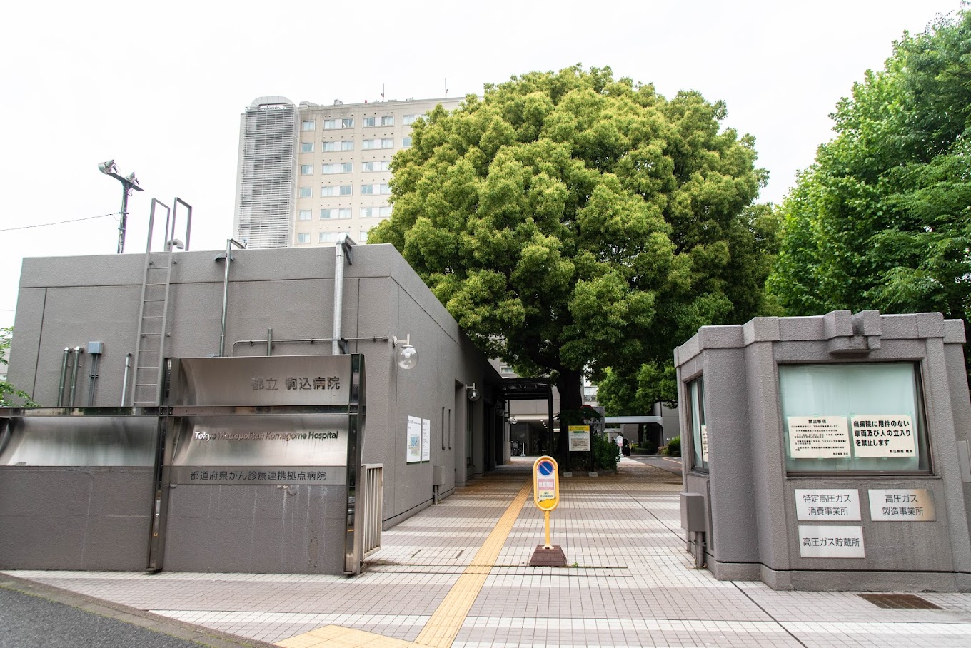 がん･感染症センター 東京都立駒込病院