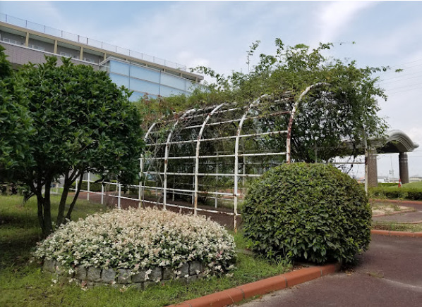 安藤病院