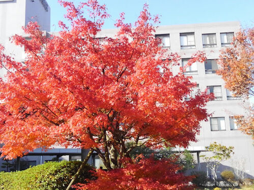 済生会川内病院