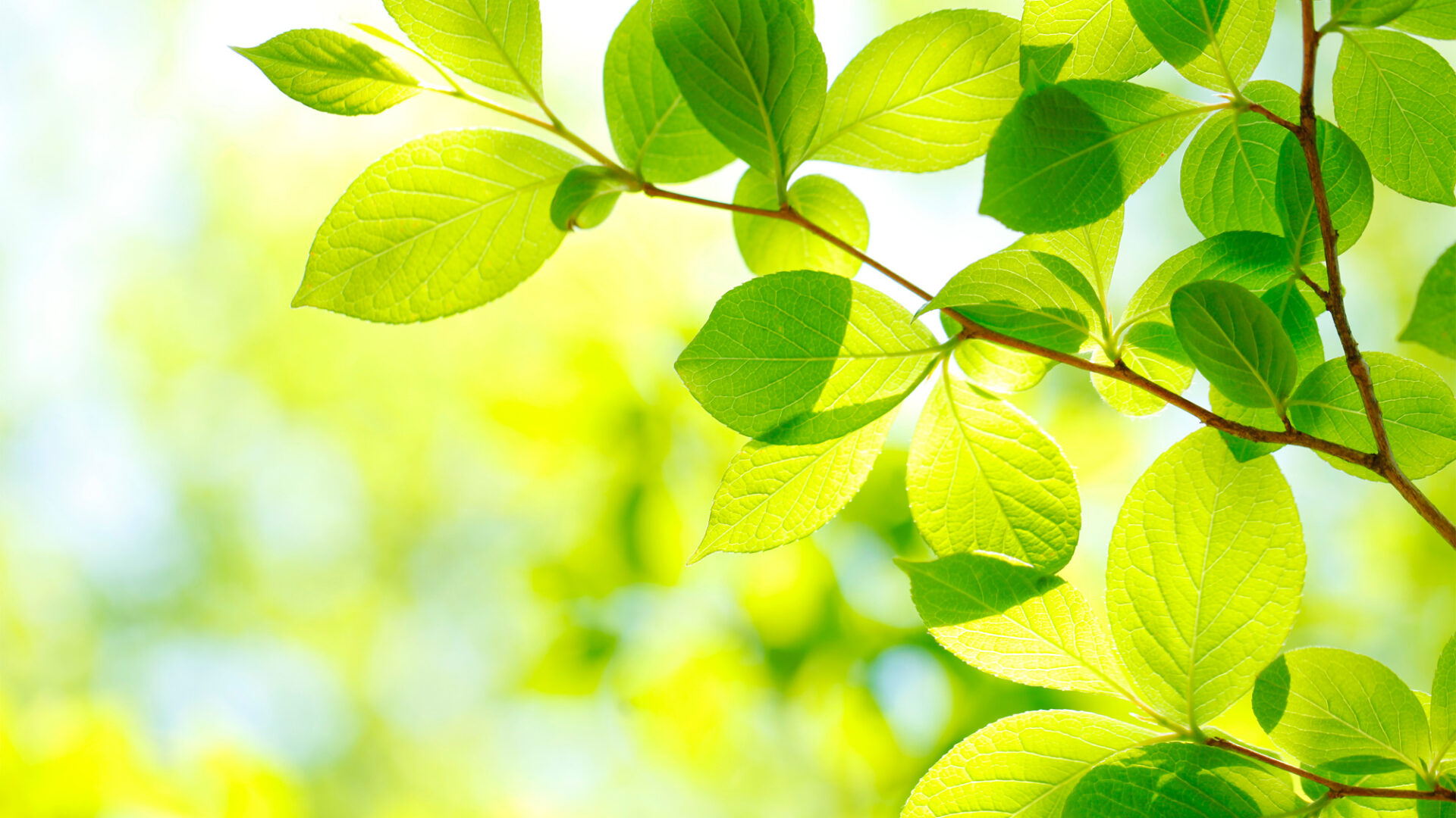森田整形外科医院