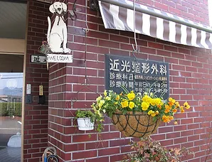 近光整形外科