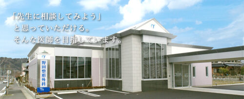 野田整形外科