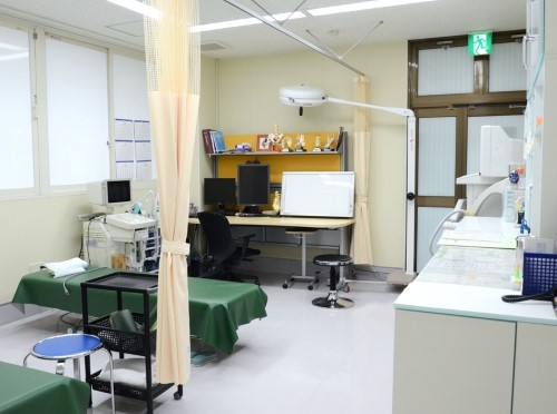かかず整形外科