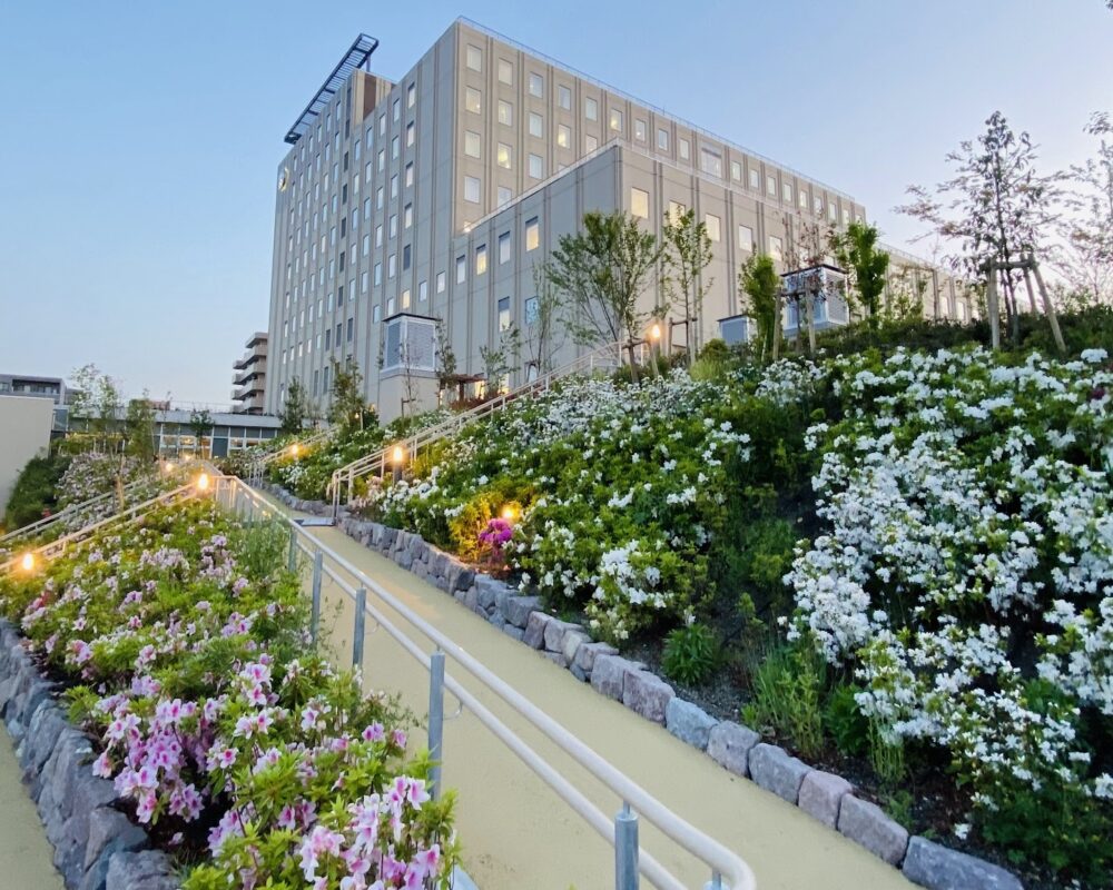 日本医科大学付属病院