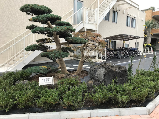 有隣病院