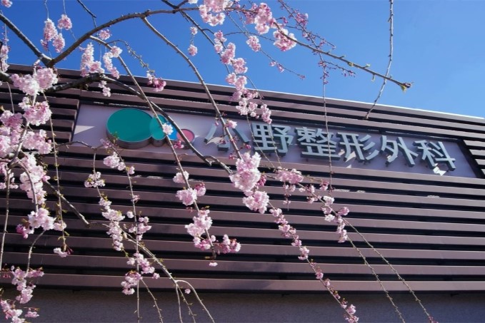 小野整形外科