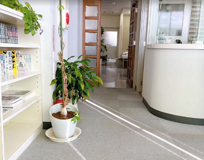 河野整形外科