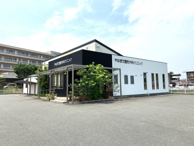 やなぎだ整形外科クリニックの外観・院内写真