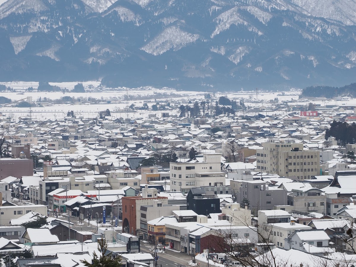 尾崎整形外科の外観・院内写真